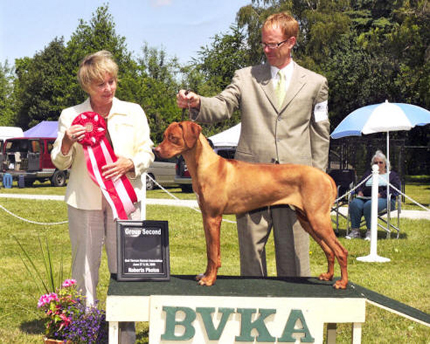 Scott Price handling Rhodesian Ridgeback