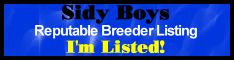 Sidy Boys Reputable Breeder Directory